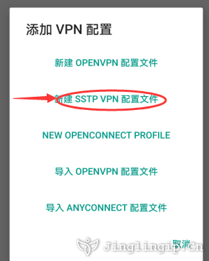 SSTP代理IP教程